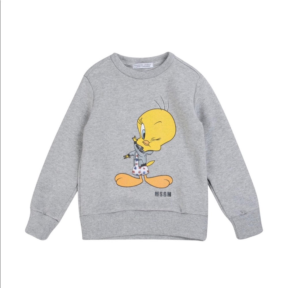 Kids MSGM sweatshirt